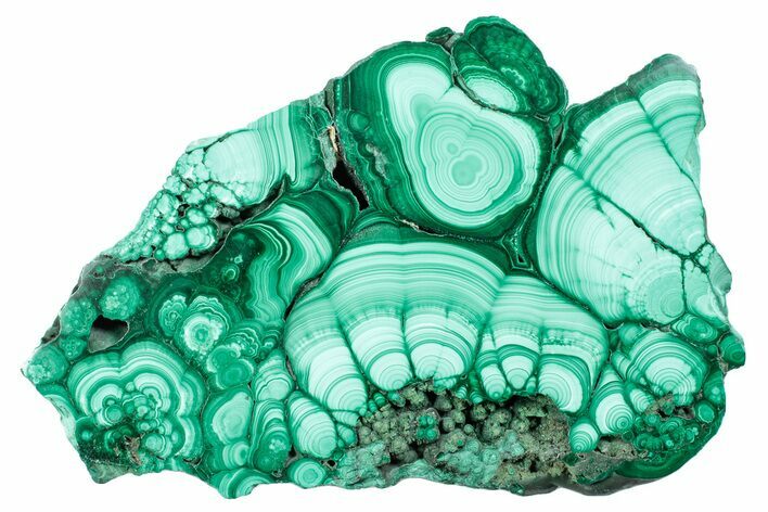 Flowery Polished Malachite Slab - DR Congo #284399